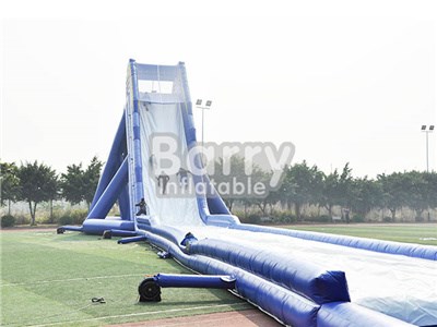 Blue Giant Inflatable Slide For Adult
